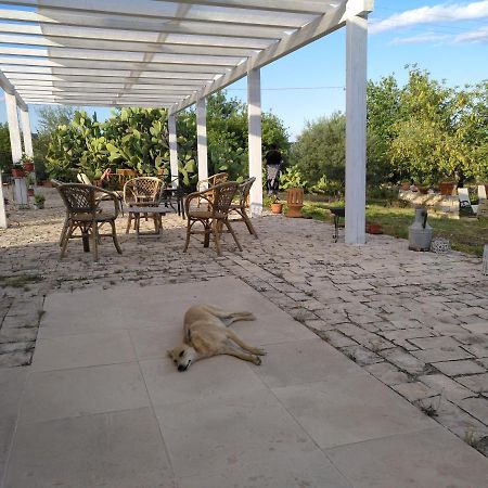 Agriturismo Gaia Villa Ното Екстериор снимка