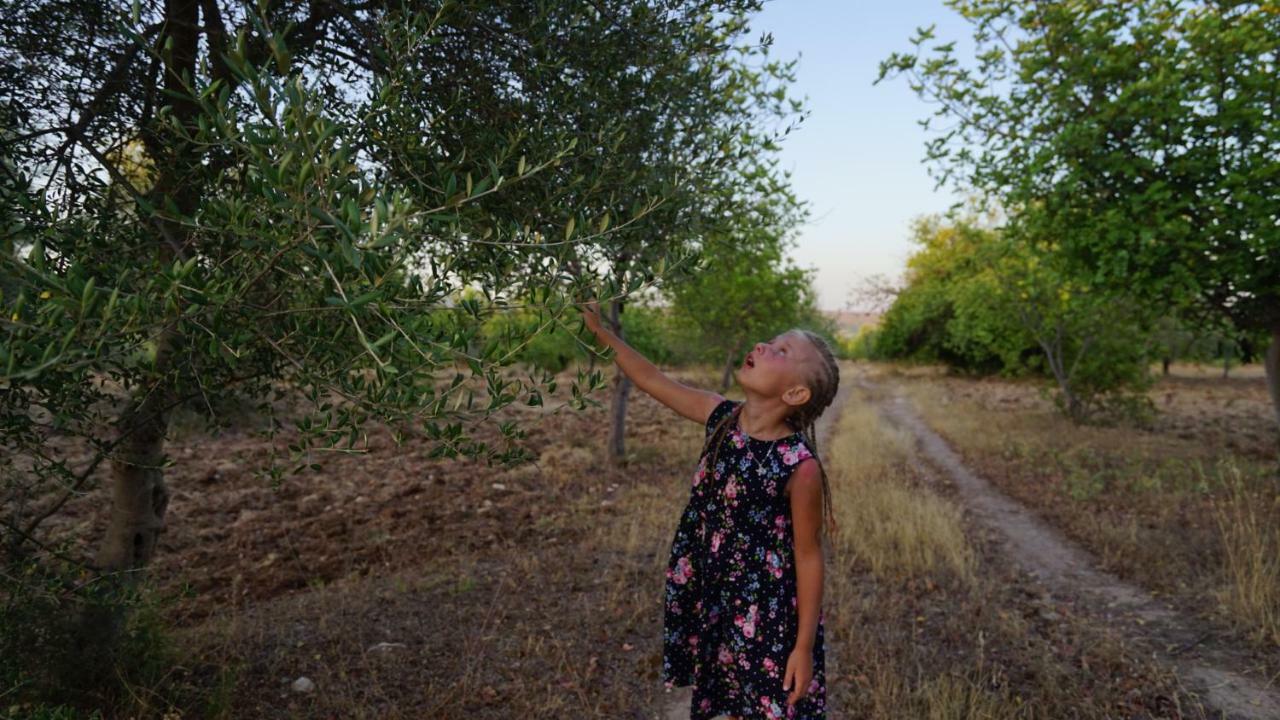 Agriturismo Gaia Villa Ното Екстериор снимка