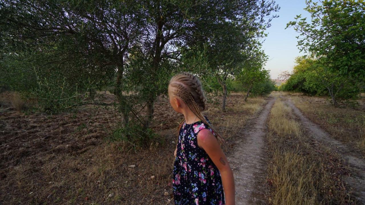 Agriturismo Gaia Villa Ното Екстериор снимка